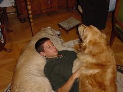 Clic pour agrandir l'image (1024x768 pixels; 92 KB)