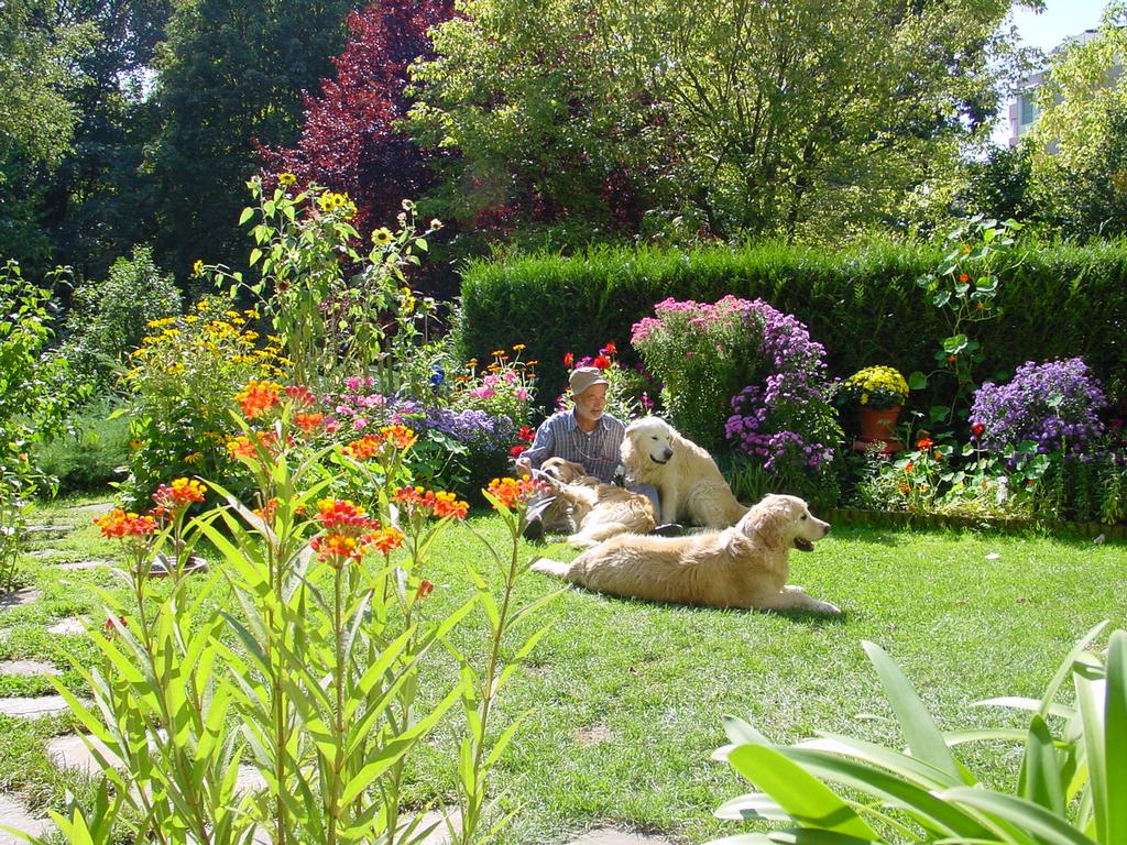 clic ici pour suivante