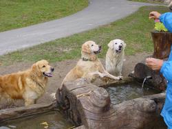 Clic pour agrandir l'image (1024x768 pixels; 158 KB)