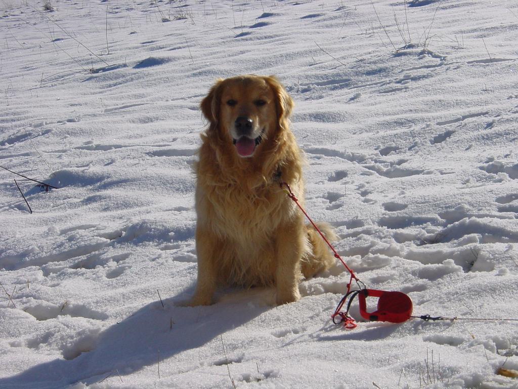 Clic pour l'image suivante