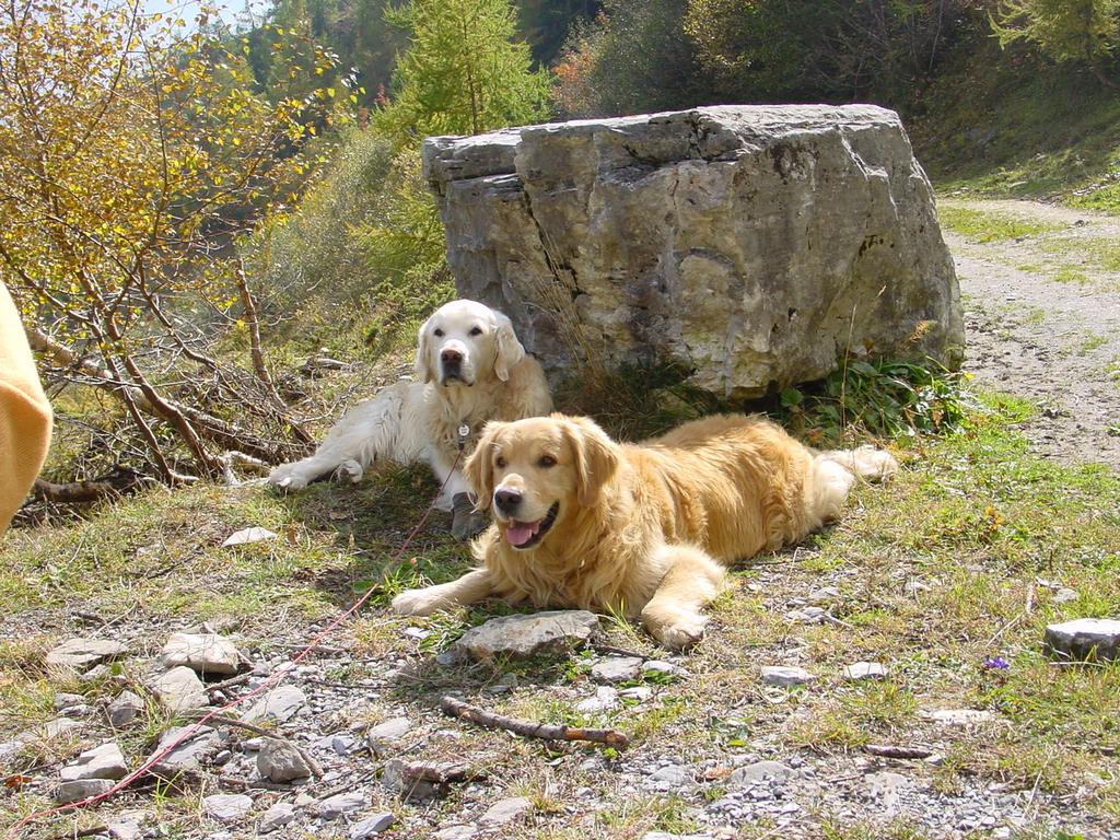 clic ici pour suivante