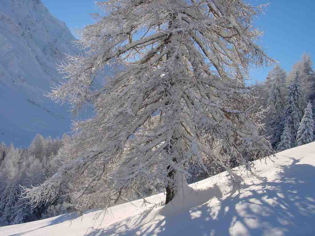 Cliquer pour voir l'image suivante