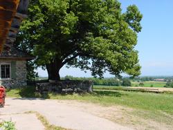 Clic pour agrandir l'image (1024x768 pixels; 189 KB)