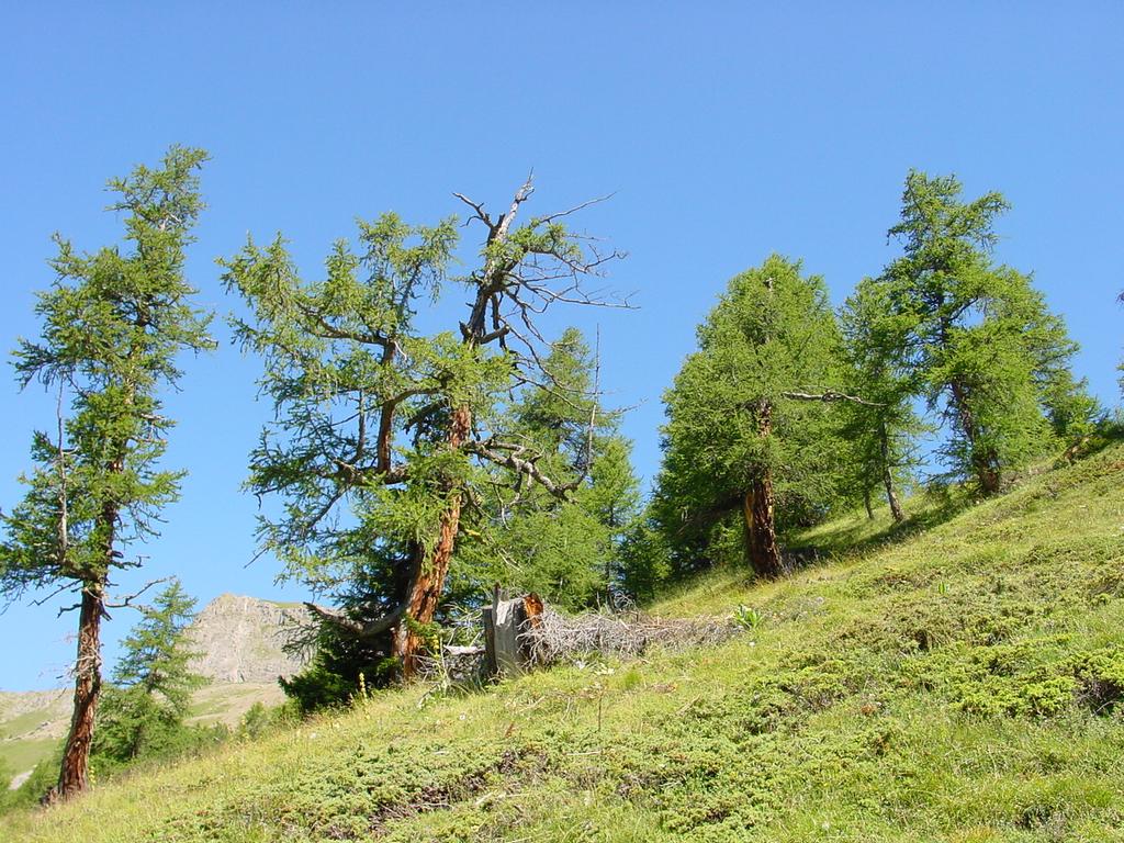 clic ici pour suivante