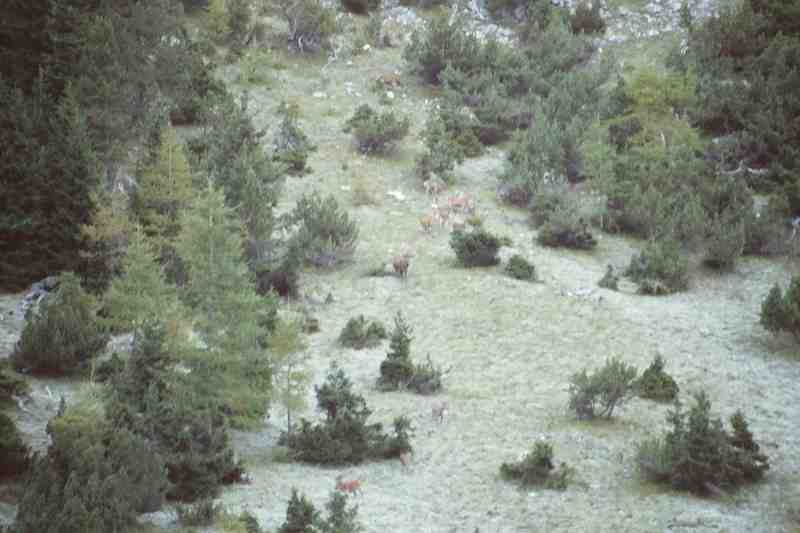 Clic ici pour voir l'image suivante