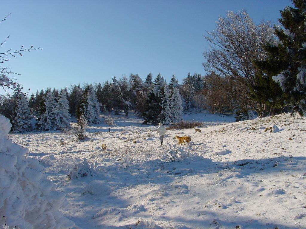 Clic pour voir l'image suivante