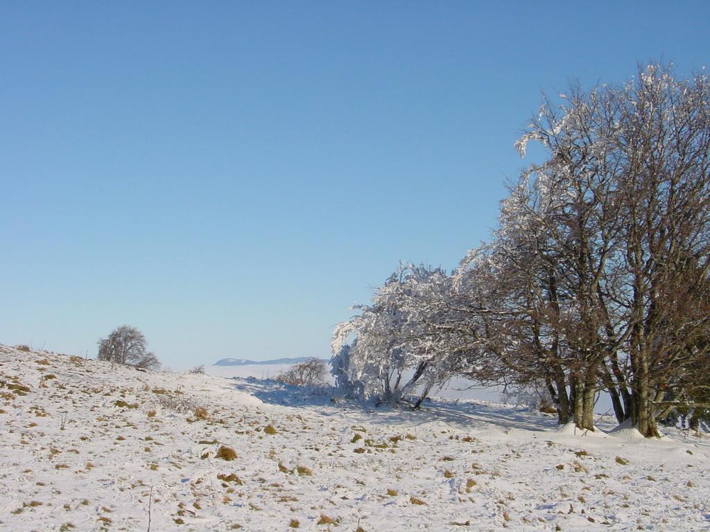 Clic pour voir l'image suivante