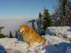 Clic pour agrandir l'�mage (1024x768 pixels; 121 KB)