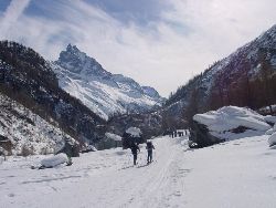 1736.jpg (69658 bytes)