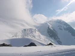 1995.jpg (551239 bytes)