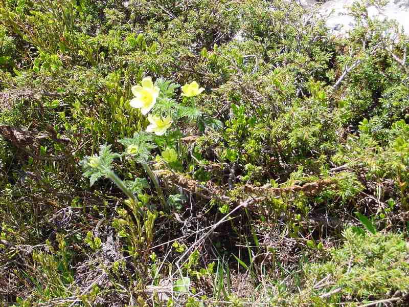 Clic ici pour voir l'image suivante