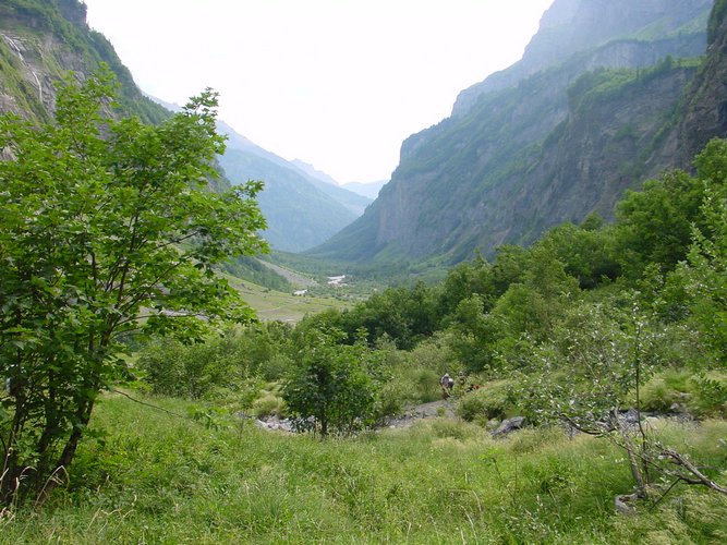 Click to see next picture