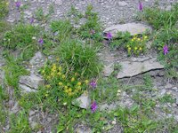 Click to see big picture (667x500 pixels; 154 KB)