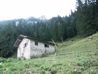 Click to see big picture (667x500 pixels; 114 KB)