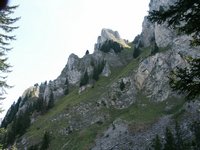 Click to see big picture (667x500 pixels; 100 KB)