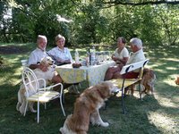 Click to see big picture (667x500 pixels; 147 KB)