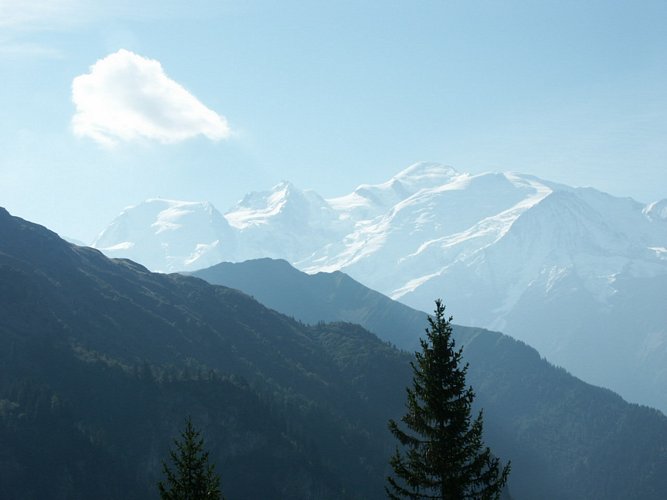 Click to see next picture