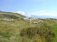 Click to see big picture (667x500 pixels; 108 KB)