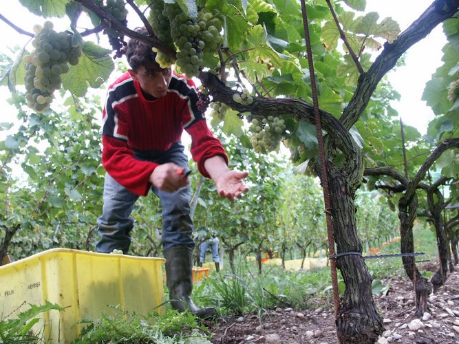 Click to see next picture