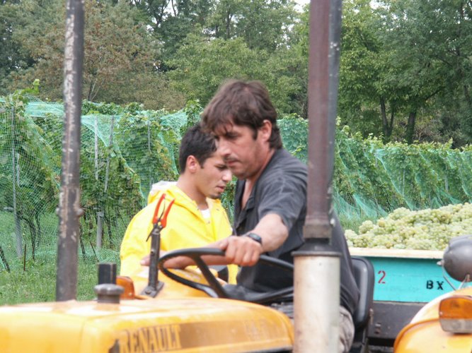 Click to see next picture