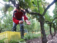 Click to see big picture (667x500 pixels; 130 KB)