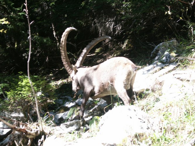 Click to see next picture