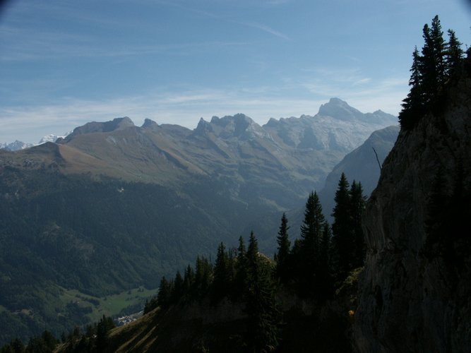 Click to see next picture