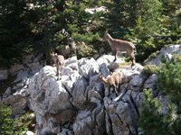 Click to see big picture (667x500 pixels; 118 KB)