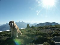 Click to see big picture (667x500 pixels; 66 KB)