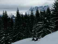 Cliquer pour agrandir l'image (800x600 :  52 KB pixels); 24.01.2004 12:57