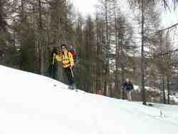 Cliquer pour agrandir l'image (800x600 :  58 KB pixels); 07.02.2004 11:33