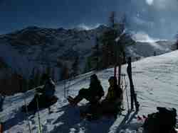 Cliquer pour agrandir l'image (800x600 :  44 KB pixels); 08.02.2004 13:19