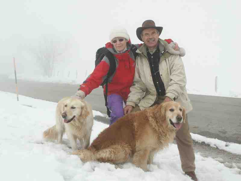 Clic ici pour voir l'image suivante