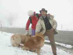 Cliquer pour agrandir l'image (800x600 :  34 KB pixels); 14.03.2004 14:39