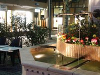 Cliquer pour agrandir l'image (800x600 :  44 KB pixels); 07.04.2004 19:37