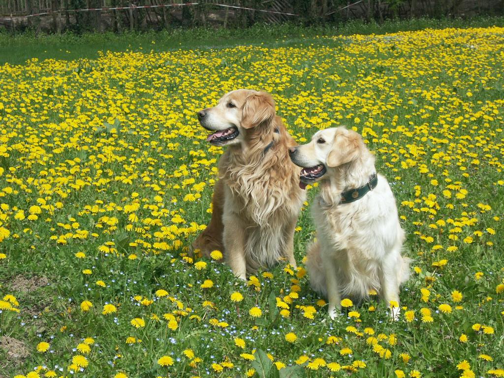 {Clic pour voir plus grand}