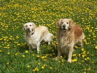 Click to see big picture (1024x768 pixels; 244 KB)