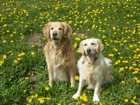 Click to see big picture (1024x768 pixels; 238 KB)