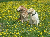 Click to see big picture (1024x768 pixels; 228 KB)