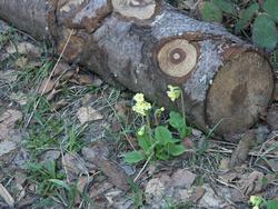 Clic pour agrandir l'image (1024x768 pixels; 184 KB)