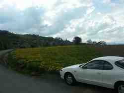 Cliquer pour agrandir l'image (800x600 :  32 KB pixels); 02.05.2004 17:10