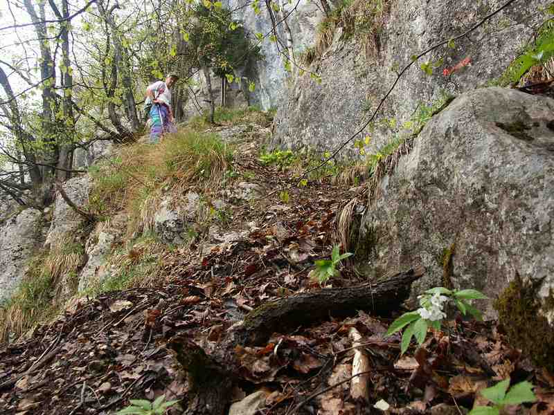 Clic ici pour voir l'image suivante