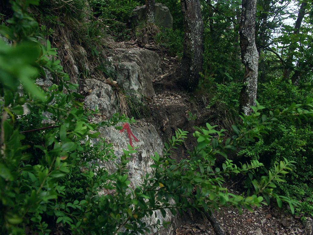 Cliquer pour voir l'image suivante