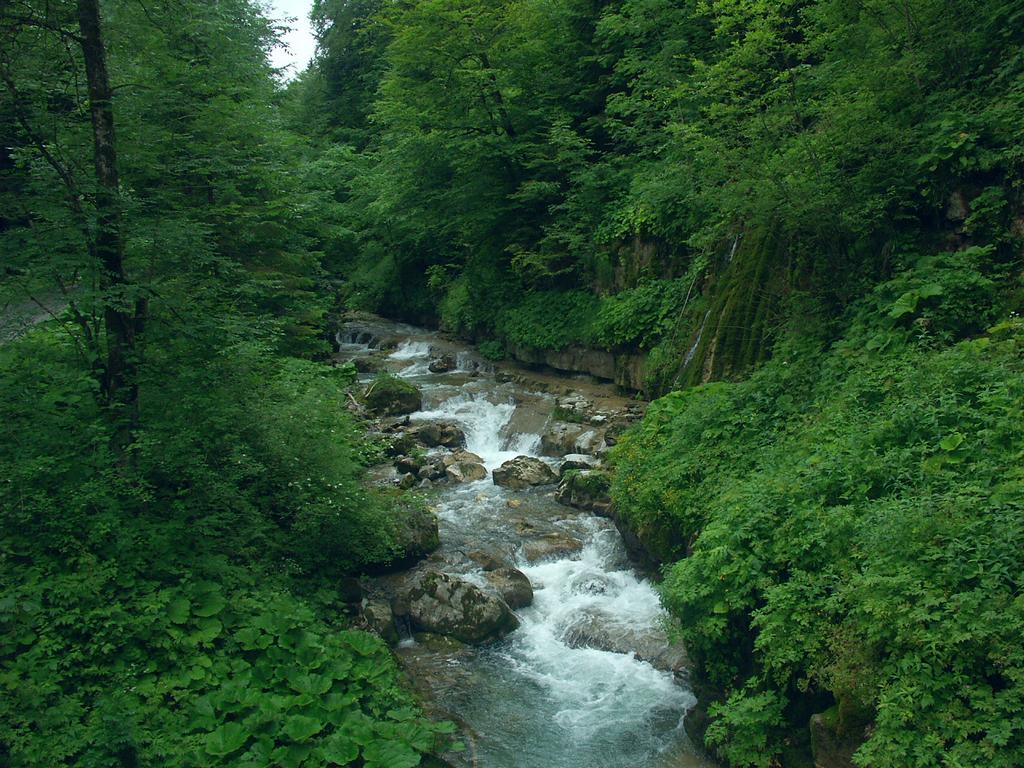 Clic pour l'image suivante