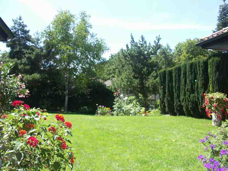 Clic ici pour voir l'image suivante