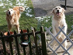 Cliquer pour agrandir l'image (1000x750 pixels; 2197 KB)