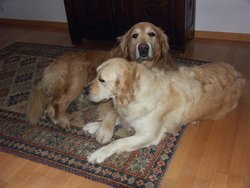 Cliquer pour agrandir l'image (1600x1200 pixels; 5625 KB)