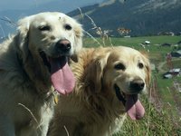 Cliquer pour agrandir l'image (1600x1200 pixels; 5625 KB)