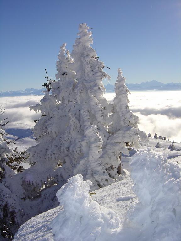 Clic pour l'image suivante