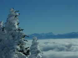 Cliquer pour agrandir l'image (1600x1200 pixels; 5625 KB)